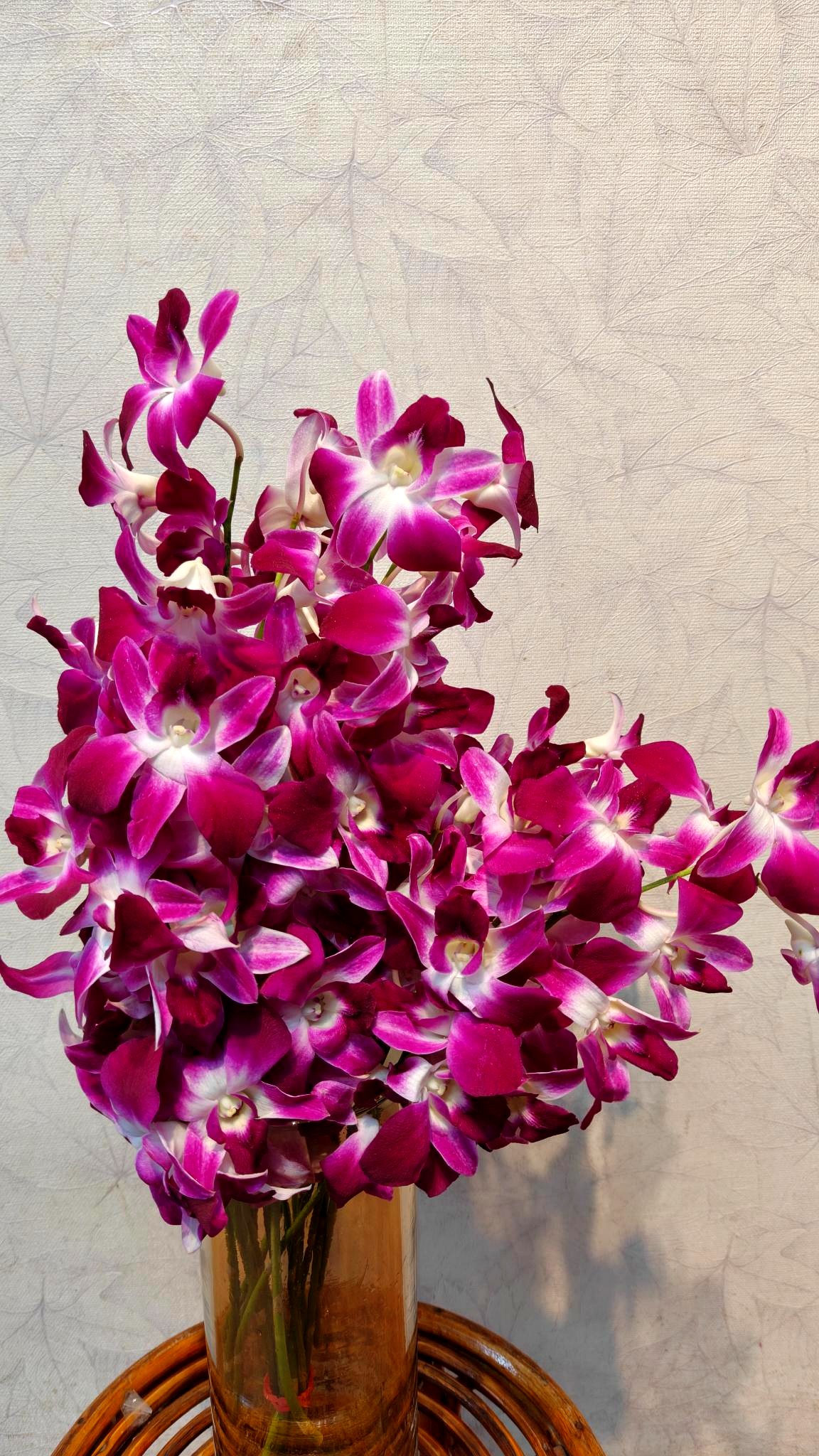 Orchid