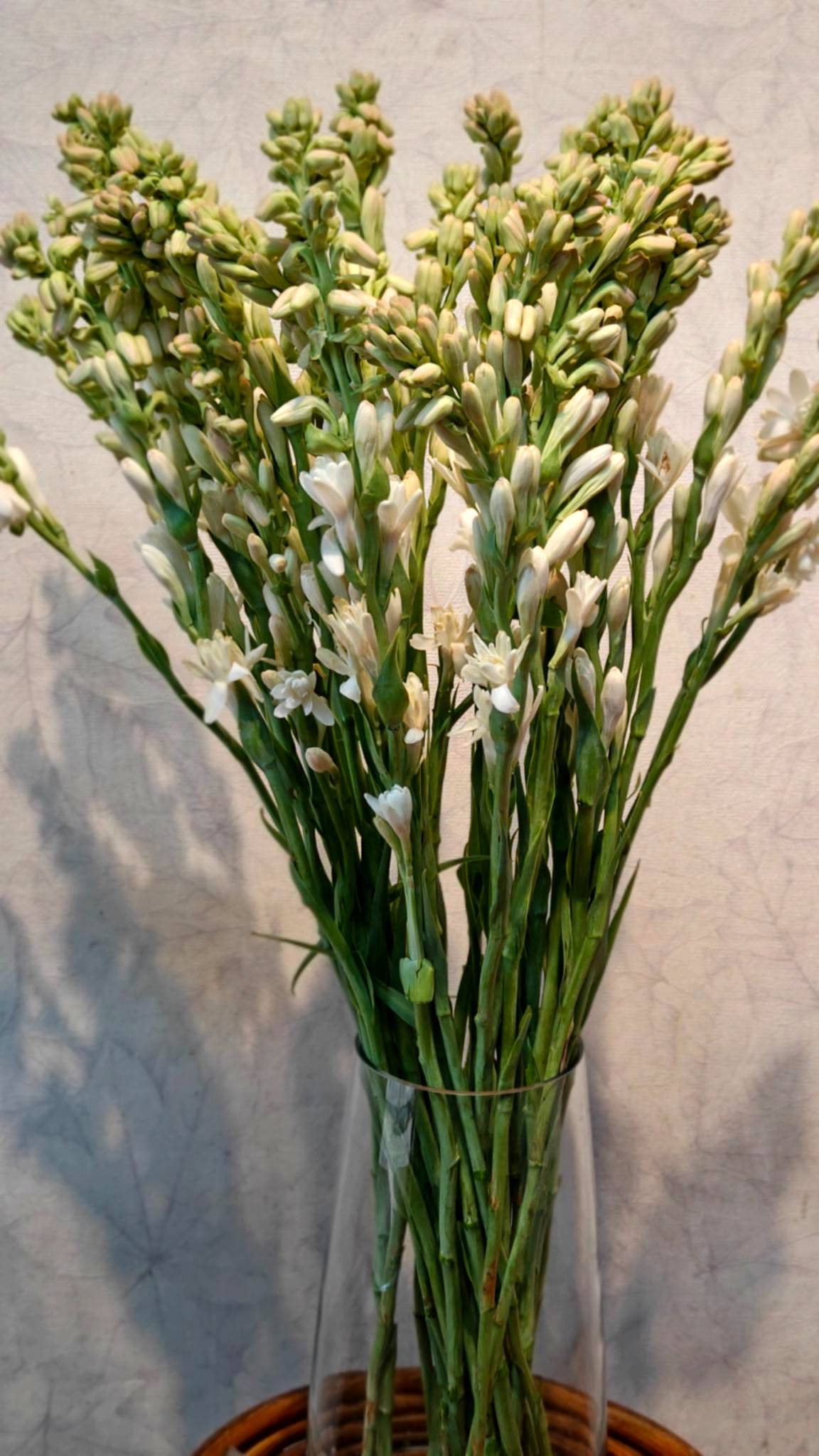 Tuberose